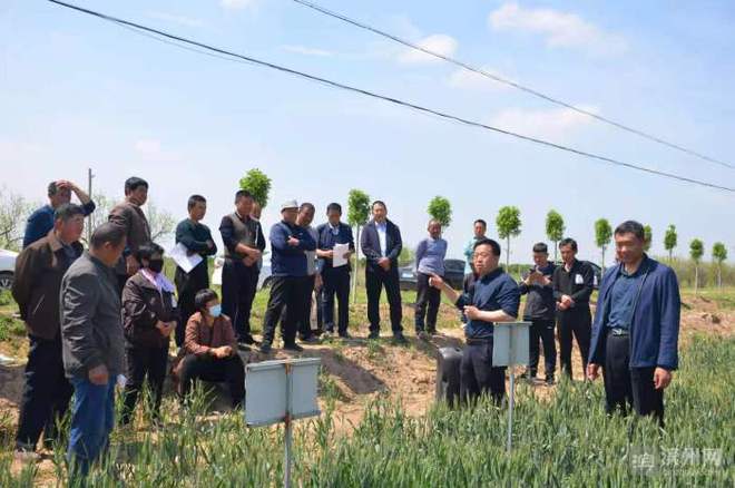 科技特派員賦能濱州田野，精準服務播撒鄉村振興新希望